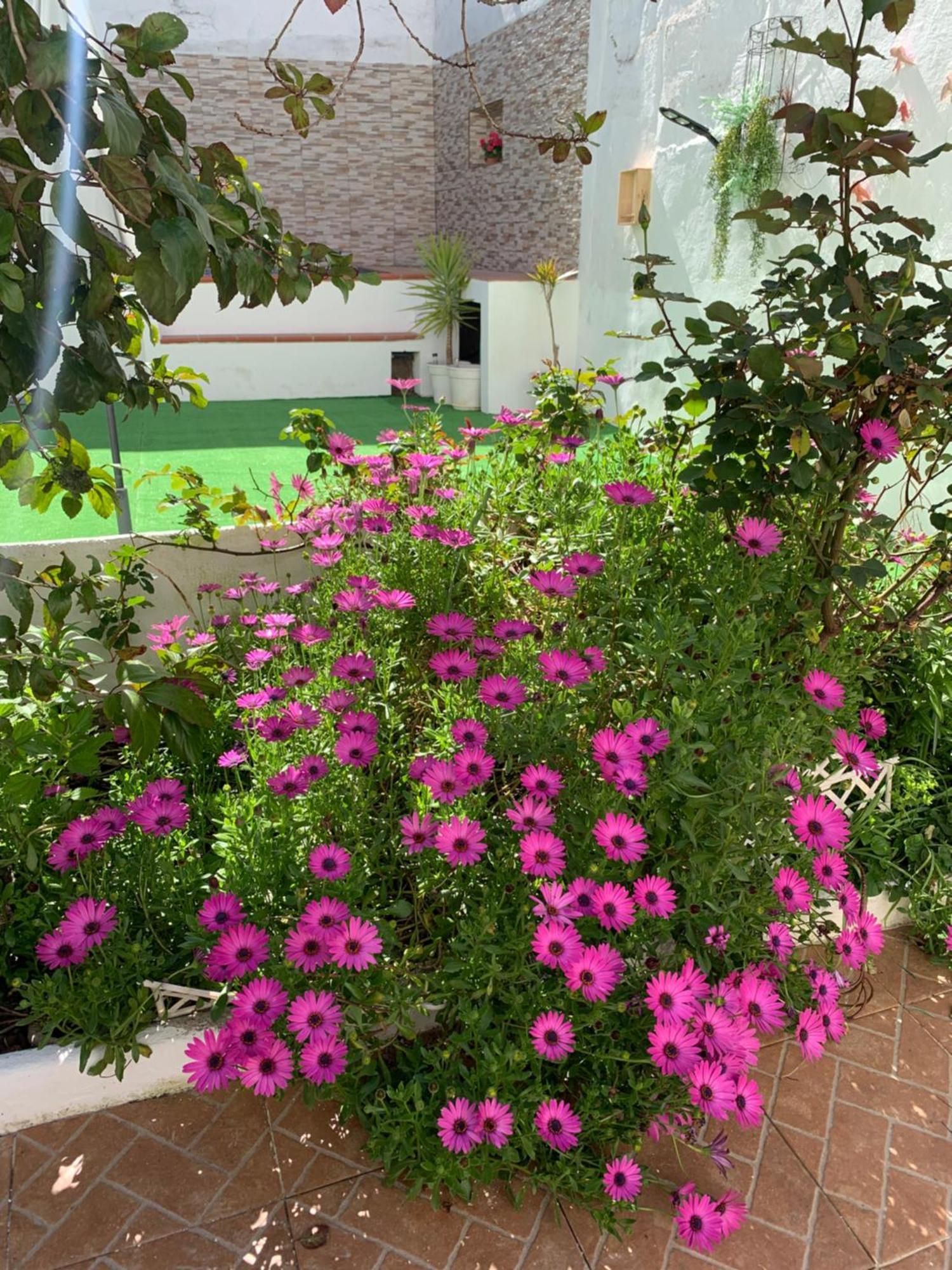 Casa Dos Tios Estremoz-Veiros 빌라 외부 사진
