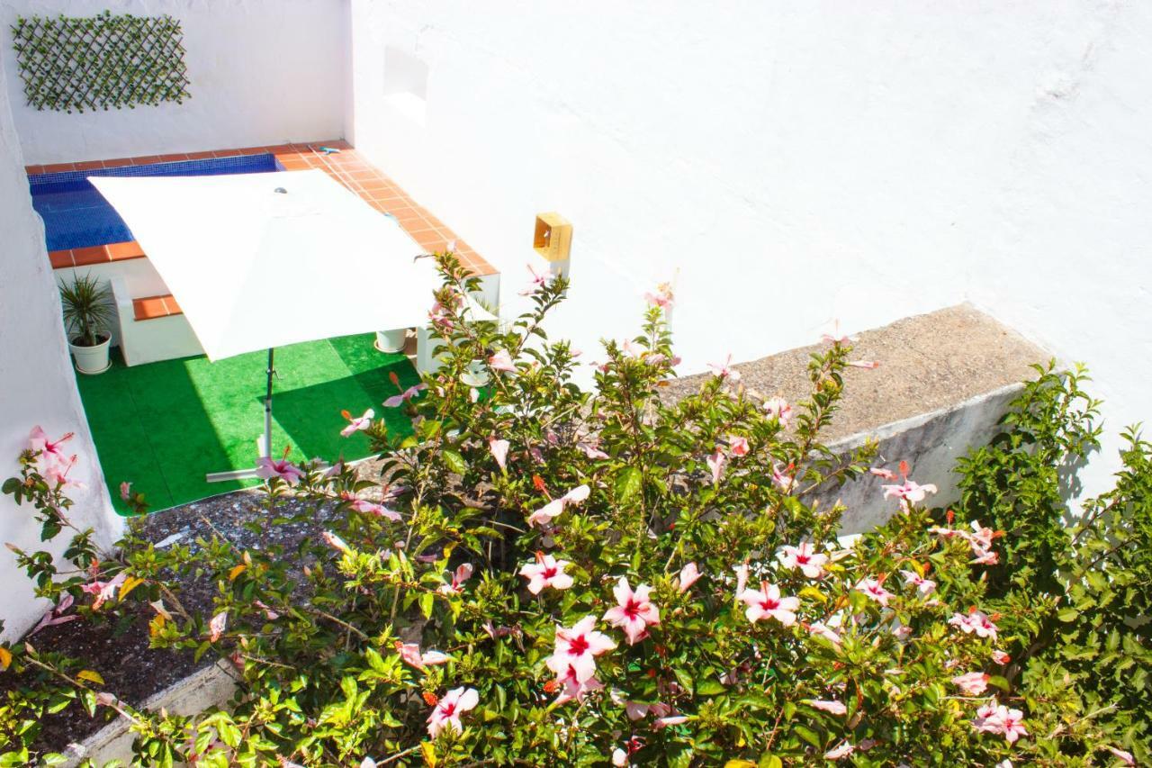 Casa Dos Tios Estremoz-Veiros 빌라 외부 사진